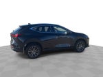 2025 Lexus NX 350h NX 350h