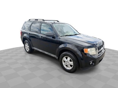 2010 Ford Escape XLT